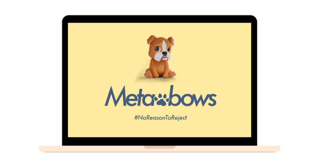 【Metabows】NFTやBowTokenでどうやって世界中の犬を救うの？犬の保護・支援の新しいカタチ